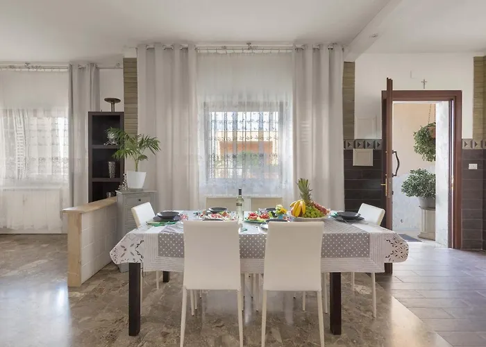 Greco By Barbarhouse